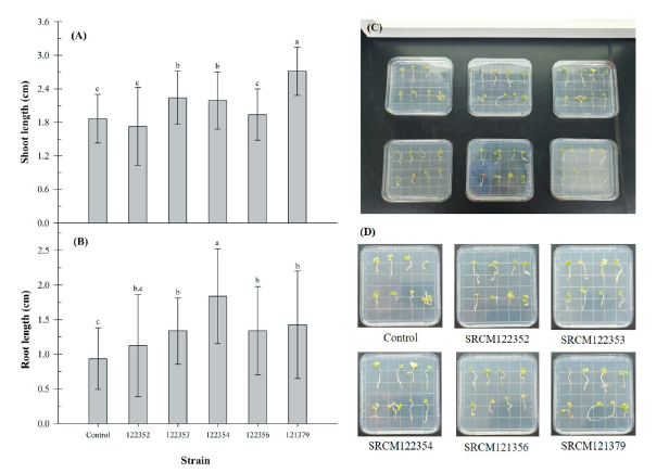 https://www.kjmycology.or.kr/images/KJOM/images/N0320490403_image/Fig_KJOM_49_04_03_F3.png