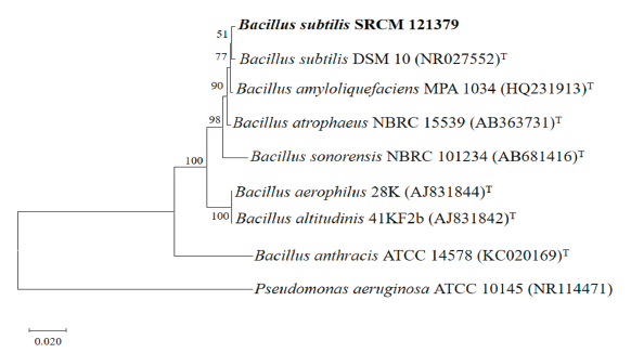 https://www.kjmycology.or.kr/images/KJOM/images/N0320490403_image/Fig_KJOM_49_04_03_F5.png