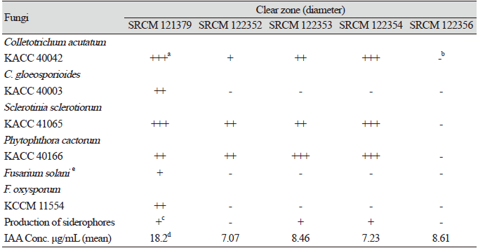 https://www.kjmycology.or.kr/images/KJOM/images/N0320490403_image/Table_KJOM_49_04_03_T2.png