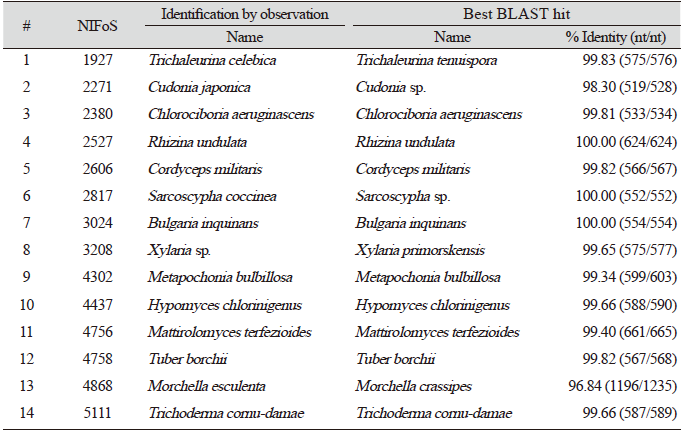 https://www.kjmycology.or.kr/images/KJOM/images/N0320490404_image/Table_KJOM_49_04_04_T1.png