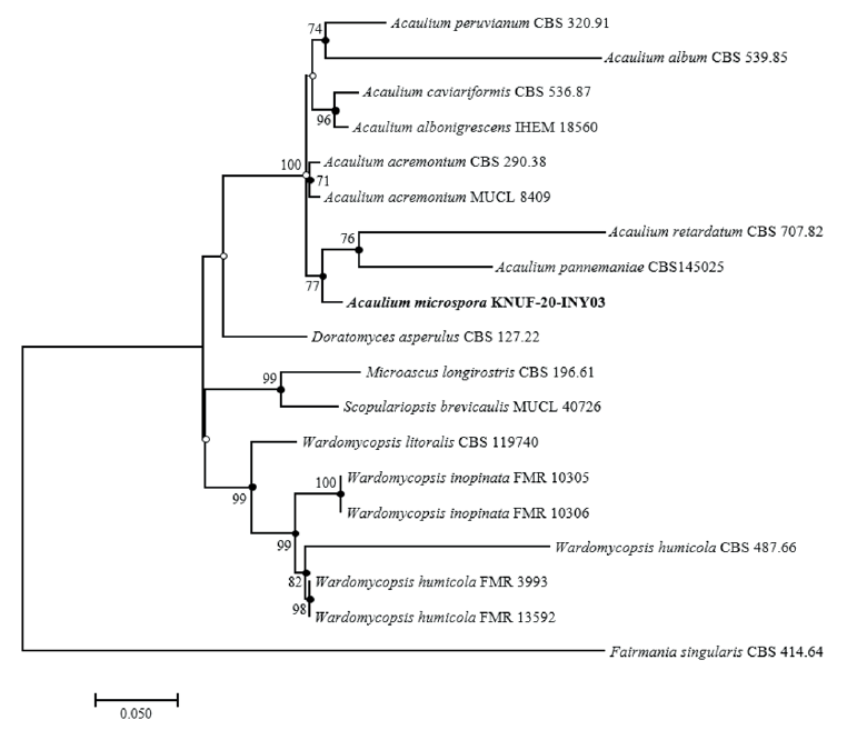 https://www.kjmycology.or.kr/images/KJOM/images/N0320490406_image/Fig_KJOM_49_04_06_F2.png