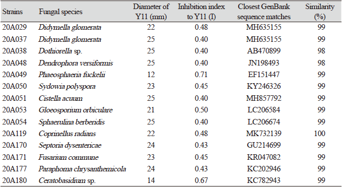 https://www.kjmycology.or.kr/images/KJOM/images/N0320490408_image/Table_KJOM_49_04_08_T2.png