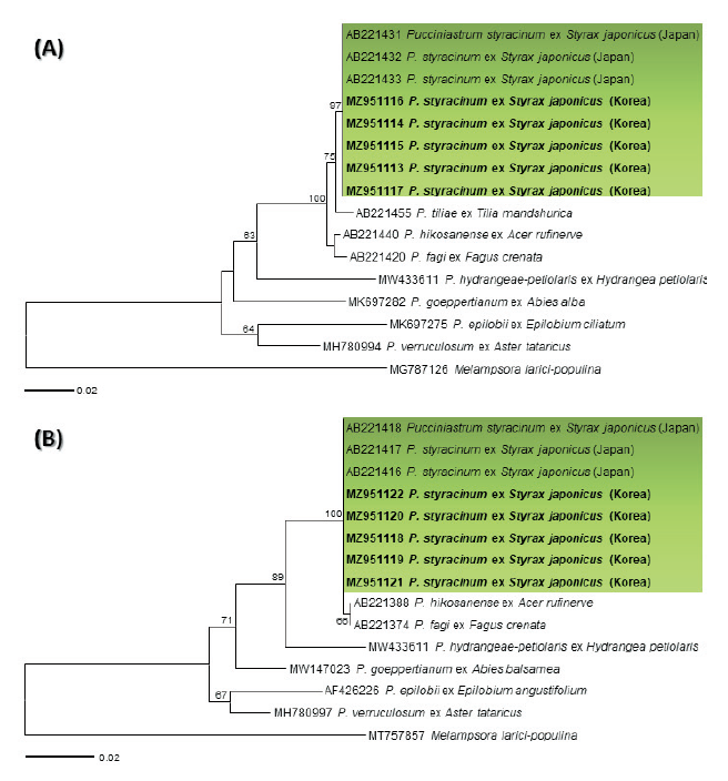 https://www.kjmycology.or.kr/images/KJOM/images/N0320490412_image/Fig_KJOM_49_04_12_F2.png