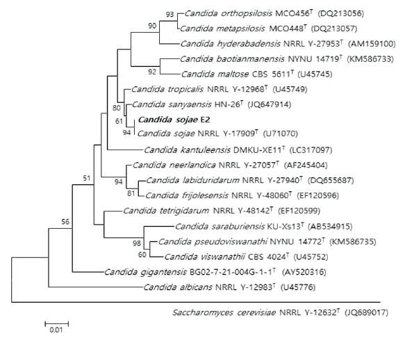 https://www.kjmycology.or.kr/images/KJOM/images/N0320490414_image/Fig_KJOM_49_04_14_F3.png