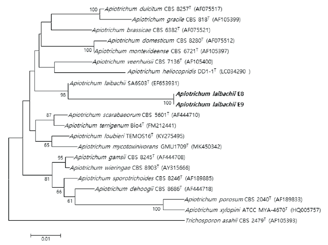 https://www.kjmycology.or.kr/images/KJOM/images/N0320490414_image/Fig_KJOM_49_04_14_F4.png