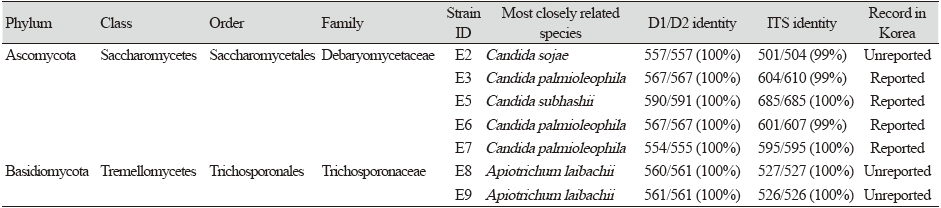 https://www.kjmycology.or.kr/images/KJOM/images/N0320490414_image/Table_KJOM_49_04_14_T1.png