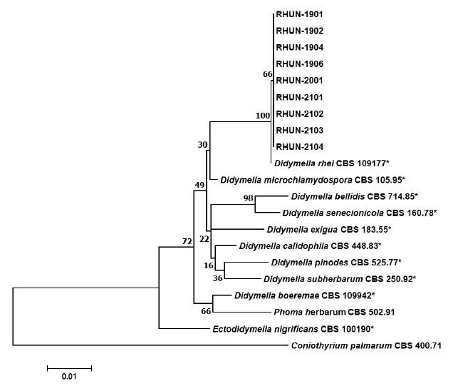 https://www.kjmycology.or.kr/images/KJOM/images/N0320490415_image/Fig_KJOM_49_04_15_F3.png