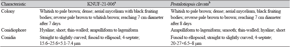 https://www.kjmycology.or.kr/images/KJOM/images/N0320500304_image/Table_KJOM_50_03_04_T2.png