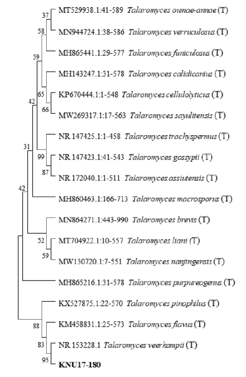 https://www.kjmycology.or.kr/images/KJOM/images/N0320500411_image/Fig_KJOM_50_04_11_F2.png