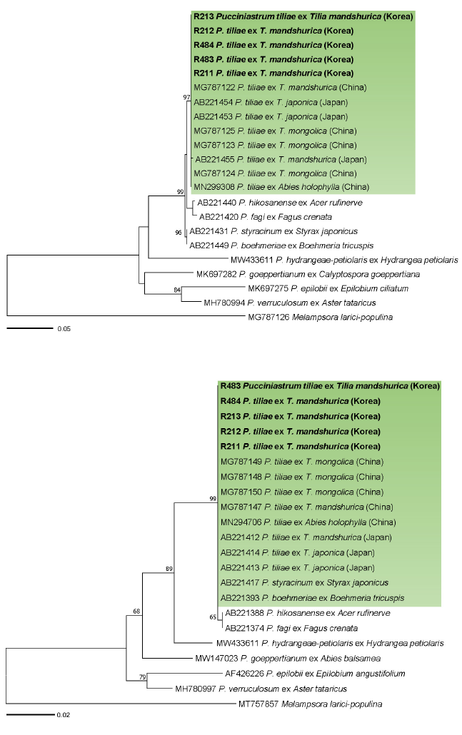 https://www.kjmycology.or.kr/images/KJOM/images/N0320510101_image/Fig_KJOM_51_01_01_F2.png