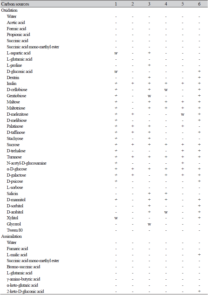 https://www.kjmycology.or.kr/images/KJOM/images/N0320510102_image/Table_KJOM_51_01_02_T2_1.png