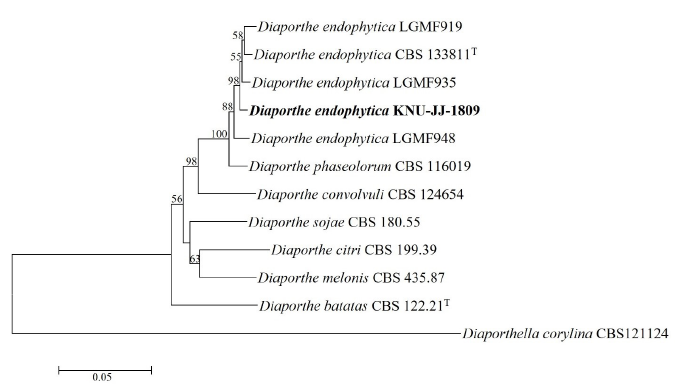 https://www.kjmycology.or.kr/images/KJOM/images/N0320510103_image/Fig_KJOM_51_01_03_F2.png