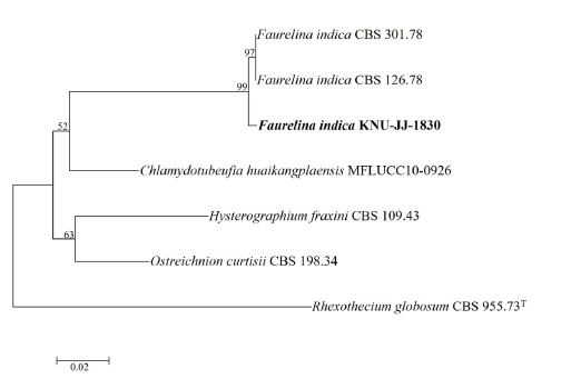 https://www.kjmycology.or.kr/images/KJOM/images/N0320510103_image/Fig_KJOM_51_01_03_F4.png