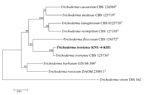 https://www.kjmycology.or.kr/images/KJOM/images/N0320510103_image/Fig_KJOM_51_01_03_F6.png