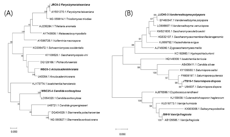 https://www.kjmycology.or.kr/images/KJOM/images/N0320510104_image/Fig_KJOM_51_01_04_F1.png
