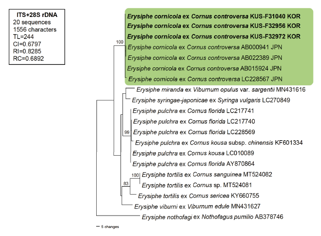 https://www.kjmycology.or.kr/images/KJOM/images/N0320510106_image/Fig_KJOM_51_01_06_F2.png