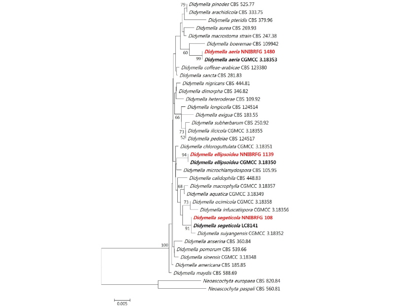 https://www.kjmycology.or.kr/images/kjom/images/N0320460101_image/Figure_kjom_46_01_01_F1.jpg
