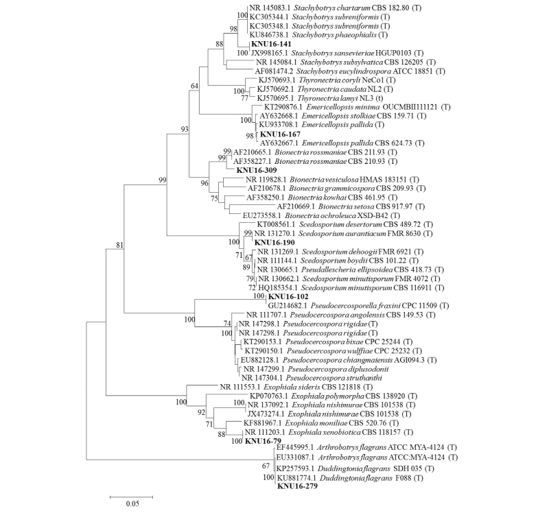 https://www.kjmycology.or.kr/images/kjom/images/N0320460102_image/Figure_kjom_46_01_02_F8.jpg