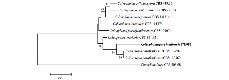 https://www.kjmycology.or.kr/images/kjom/images/N0320460103_image/Figure_kjom_46_01_03_F2.jpg