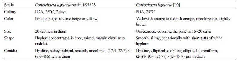 https://www.kjmycology.or.kr/images/kjom/images/N0320460103_image/Table_kjom_46_01_03_T2.jpg