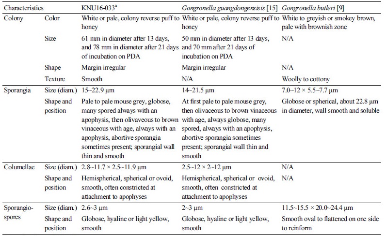 https://www.kjmycology.or.kr/images/kjom/images/N0320460104_image/Table_kjom_46_01_04_T1.jpg