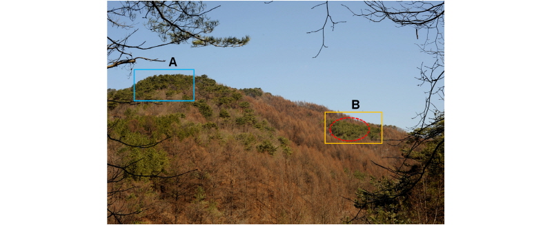 https://www.kjmycology.or.kr/images/kjom/images/N0320460105_image/Figure_kjom_46_01_05_F1.jpg
