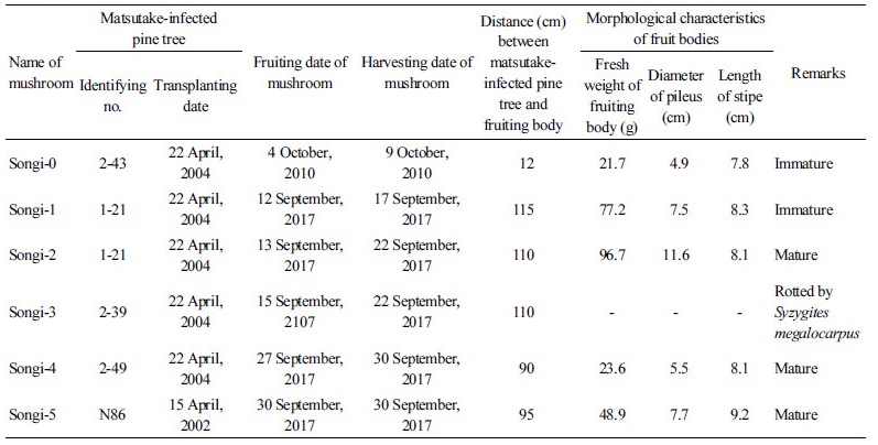 https://www.kjmycology.or.kr/images/kjom/images/N0320460105_image/Table_kjom_46_01_05_T1.jpg