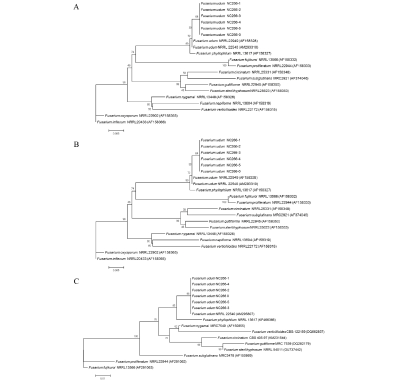 https://www.kjmycology.or.kr/images/kjom/images/N0320460108_image/Figure_kjom_46_01_08_F3.jpg