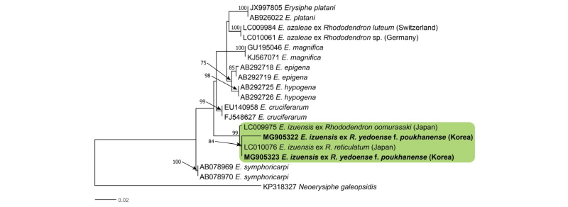 https://www.kjmycology.or.kr/images/kjom/images/N0320460109_image/Figure_kjom_46_01_09_F2.jpg