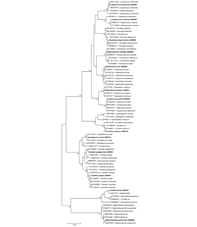 https://www.kjmycology.or.kr/images/kjom/images/N0320460110_image/Figure_kjom_46_01_10_F1.jpg
