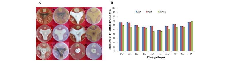 https://www.kjmycology.or.kr/images/kjom/images/N0320460111_image/Figure_kjom_46_01_11_F2.jpg