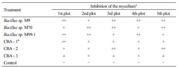 https://www.kjmycology.or.kr/images/kjom/images/N0320460111_image/Table_kjom_46_01_11_T1.jpg