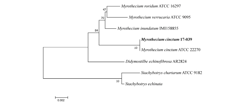 https://www.kjmycology.or.kr/images/kjom/images/N0320460206_image/Figure_kjom_46_02_06_F4.jpg