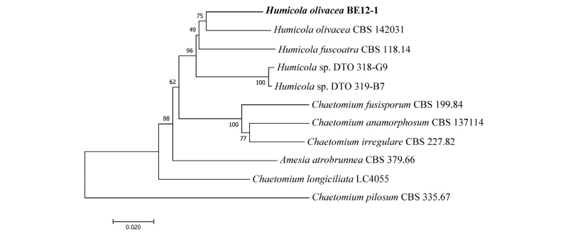 https://www.kjmycology.or.kr/images/kjom/images/N0320460206_image/Figure_kjom_46_02_06_F6.jpg