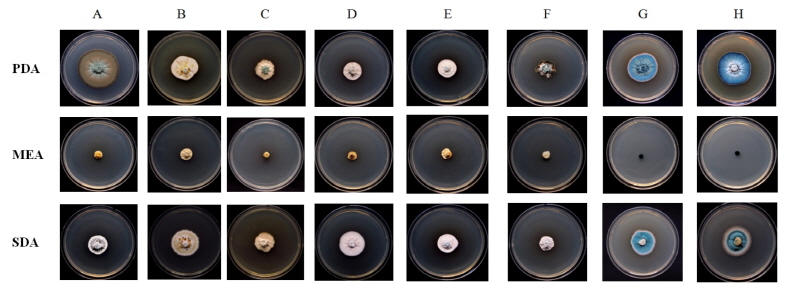https://www.kjmycology.or.kr/images/kjom/images/N0320460207_image/Figure_kjom_46_02_07_F2.jpg
