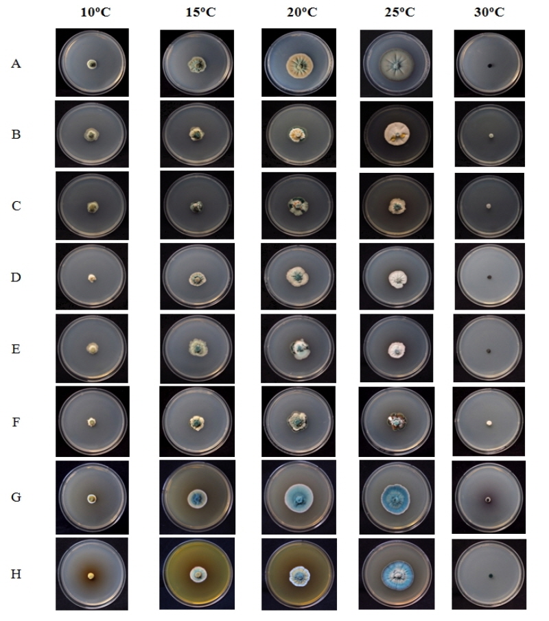 https://www.kjmycology.or.kr/images/kjom/images/N0320460207_image/Figure_kjom_46_02_07_F3.jpg