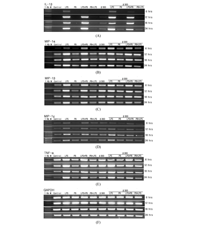 https://www.kjmycology.or.kr/images/kjom/images/N0320460208_image/Figure_kjom_46_02_08_F3.jpg