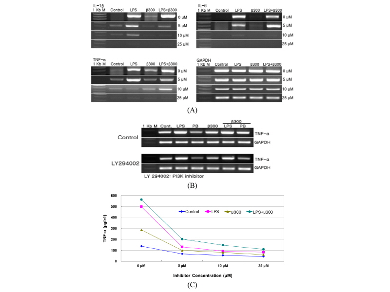 https://www.kjmycology.or.kr/images/kjom/images/N0320460208_image/Figure_kjom_46_02_08_F6.jpg
