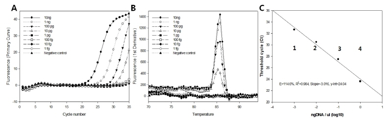 https://www.kjmycology.or.kr/images/kjom/images/N0320460210_image/Figure_kjom_46_02_10_F3.jpg