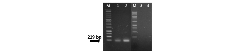 https://www.kjmycology.or.kr/images/kjom/images/N0320460210_image/Figure_kjom_46_02_10_F4.jpg