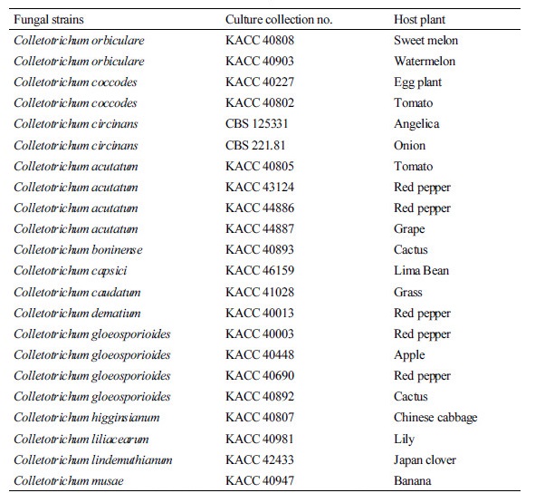 https://www.kjmycology.or.kr/images/kjom/images/N0320460210_image/Table_kjom_46_02_10_T1.jpg
