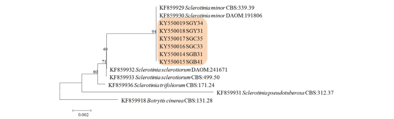 https://www.kjmycology.or.kr/images/kjom/images/N0320460212_image/Figure_kjom_46_02_12_F2.jpg