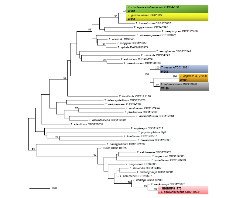 https://www.kjmycology.or.kr/images/kjom/images/N0320460302_image/Figure_kjom_46_03_02_F1.jpg
