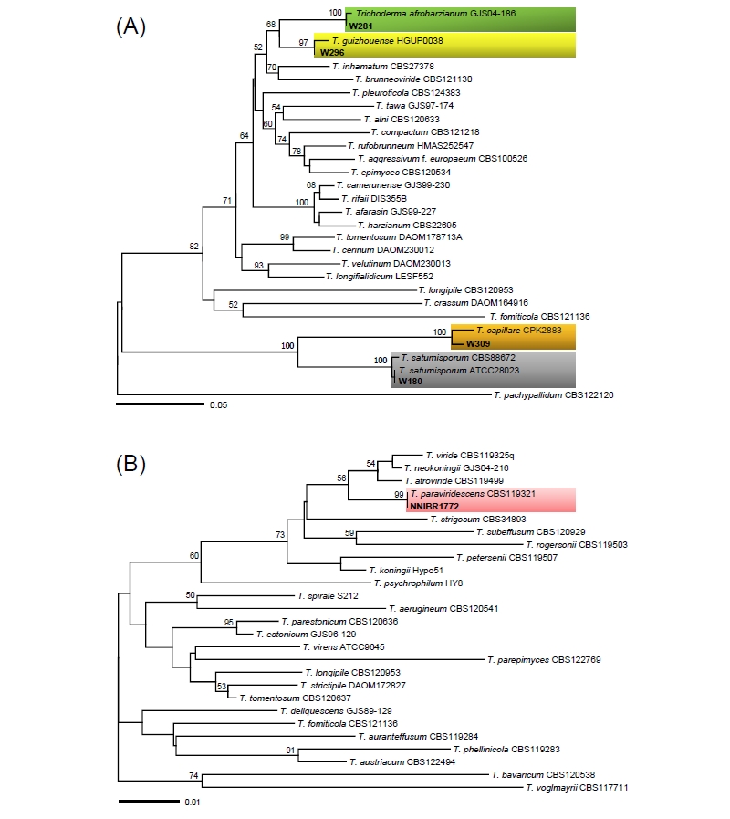 https://www.kjmycology.or.kr/images/kjom/images/N0320460302_image/Figure_kjom_46_03_02_F2.jpg