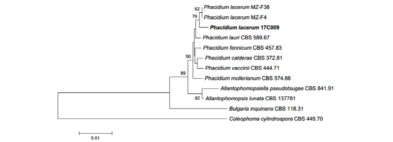 https://www.kjmycology.or.kr/images/kjom/images/N0320460305_image/Figure_kjom_46_03_05_F4.jpg