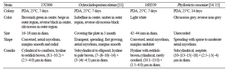 https://www.kjmycology.or.kr/images/kjom/images/N0320460305_image/Table_kjom_46_03_05_T2.jpg