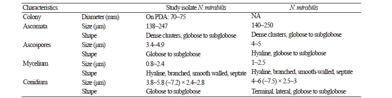 https://www.kjmycology.or.kr/images/kjom/images/N0320460306_image/Table_kjom_46_03_06_T1.jpg