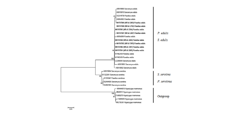 https://www.kjmycology.or.kr/images/kjom/images/N0320460309_image/Figure_kjom_46_03_09_F2.jpg