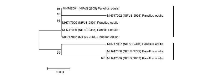 https://www.kjmycology.or.kr/images/kjom/images/N0320460309_image/Figure_kjom_46_03_09_F3.jpg