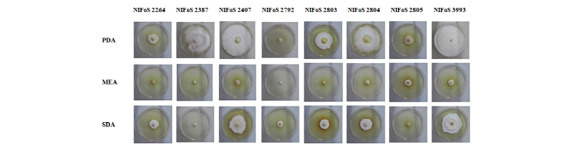https://www.kjmycology.or.kr/images/kjom/images/N0320460309_image/Figure_kjom_46_03_09_F4.jpg
